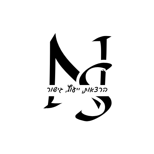 NS הרצאות, ייעוץ, גישור